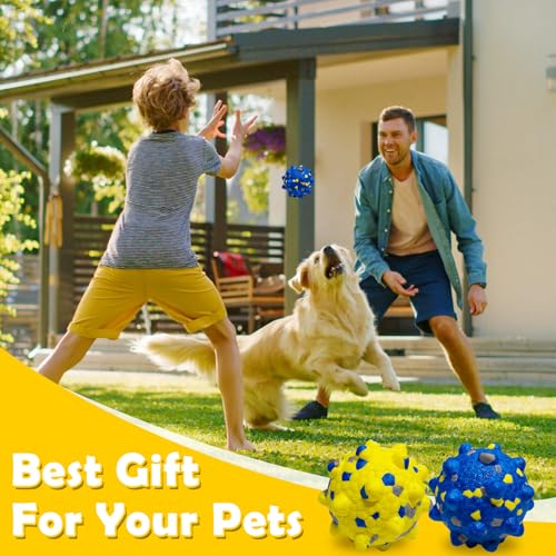 4PCS Tennis Balls for Dogs, Indestructible Durable Bouncy Toy Balls, Medium