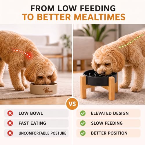 Elevated Ceramic Slow Feeder Dog Bowls Anti-Choking Slow Feeding for Small&Medium Size Anti-Slip Non-Lead & Toxic Durable Easy to Clean Maze Slow Feeder Bowl（8.26in Black Flower Pattern） - color: Black Flower Pattern, size: 1.6Cup