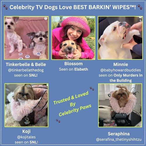 Best BARKIN' Wipes – On-The-Go Individual Micellar Water Dog Wipes - 50Pk - size: 50-Pack