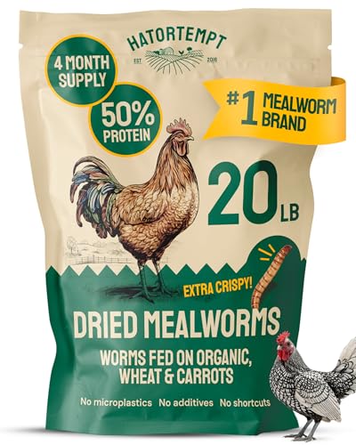 Hatortempt 20lb Dried Mealworms for Chickens & Wild Birds, Chicken Feed - size: 20 Pound (Pack of 1)