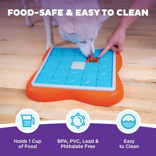 Outward Hound Nina Ottosson Challenge Slider Dog Toy Treat Puzzle, 14.7" - color: Challenge Slider (Orange, Blue), size: 1 Count (Pack of 1)