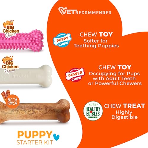 Nylabone New Puppy Starter Kit, Puppy Teething Toys, 3 Pack, Pink - color: Pink, size: Small