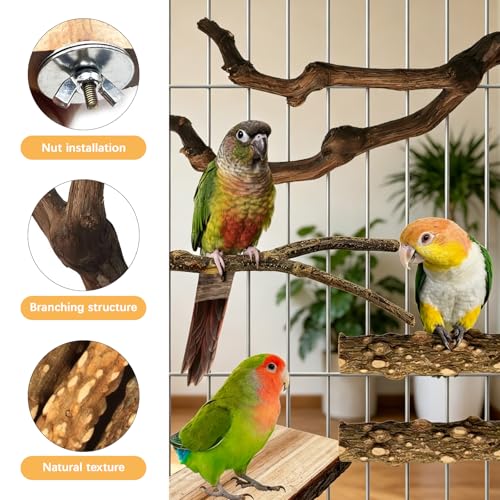 5PCS Bird Perch Stand, Bird Perch Stand Natural Wood Standing - color: Wood