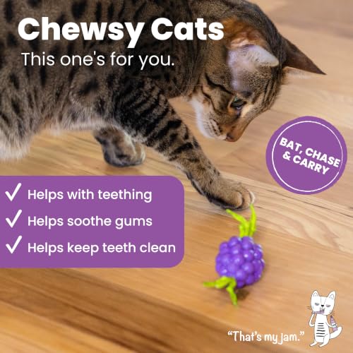 Catstages Bouncing Grape Teether Cat Toy, Soft and Textured Chew, Catnip Oil Coating