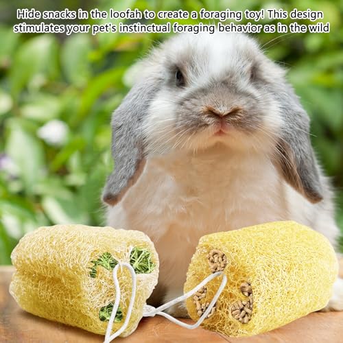 4 Pcs Rabbit Chew Toys Natural Bunny Loofah Chew Toy Chinchilla Teeth Grinding Toys Guinea Pig Fibre-Rich Treats Enrichment Bunny Accessories for Rabbits Hamster (L) - color: L- (4 PCS)