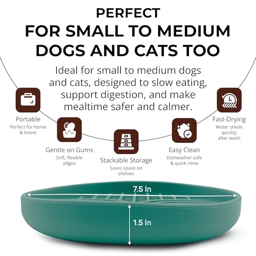 Silicone Slow Feeder Dog Bowls for Small Dogs & Puppies, Slow Eating Bowl - color: Sage