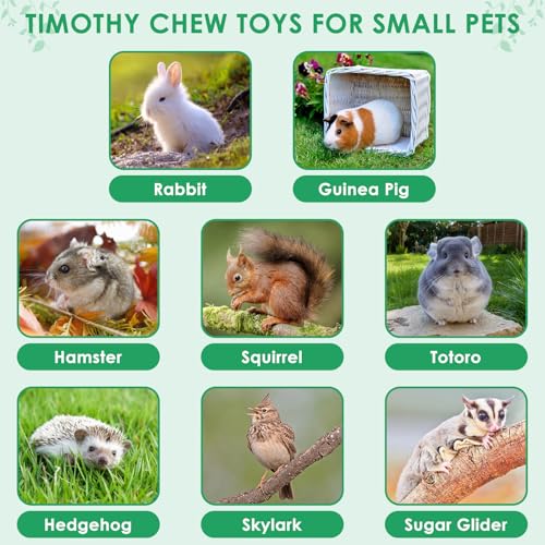 ERKOON 80PCS Bunny Chew Toys for Rabbits Teeth, Natural Rabbit Toys Apple Wood Sticks, Carrot, Timothy Grass Treats for Small Pets, Hamster, Chinchilla, Guinea Pig Dental Care and Treat Teething Toys - size: 80