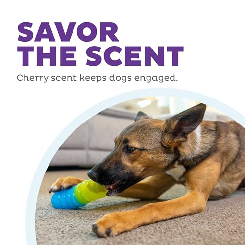 Outward Hound Gummiez Worm Dog Toy & Treat Stuffer, 6″ x 2″ Cherry-Scent Interactive Chew for Dogs, Helps Clean Teeth, Promote Healthy Gums & Mental Enrichment, Reduce Boredom & Support Dental Health - color: Gummiez Worm