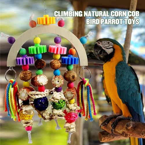 Corn cob and wooden mango combination natural wooden parrot chew toy