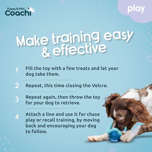 Coachi Puppy & Mini Chase & Treat - Great for Play and Chase - style: Chase & Treat