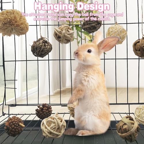 kathson 12 Pack Natural Bunny Chew Balls Small Animal Activity Toys Rabbit Play Ball Rolling Toy Gnawing Treats Timothy Grass Balls for Guinea Pigs Chinchilla Pet Cage Entertainment