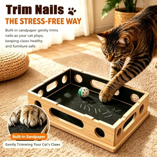 Cat Scratch Puzzle Enrichment Box