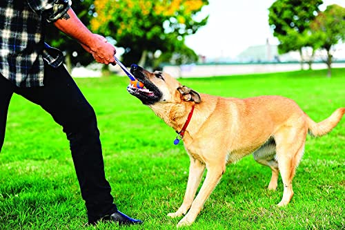 Chuckit! Ultra Tug Dog Toy, Durable Nylon Cord Handle, Large 3-in - size: Large, style: Ultra Tug