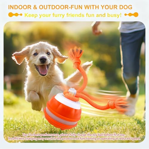 Interactive Dog Toys，Peppy Pet Ball for Dogs，Motion Activate Rolling Ball for Puppy/Medium Dogs，Active Rolling Dog Bal l Wicked Bal l for Daily Training, Dog Toys to Keep Them Busy (Blue) - color: Blue