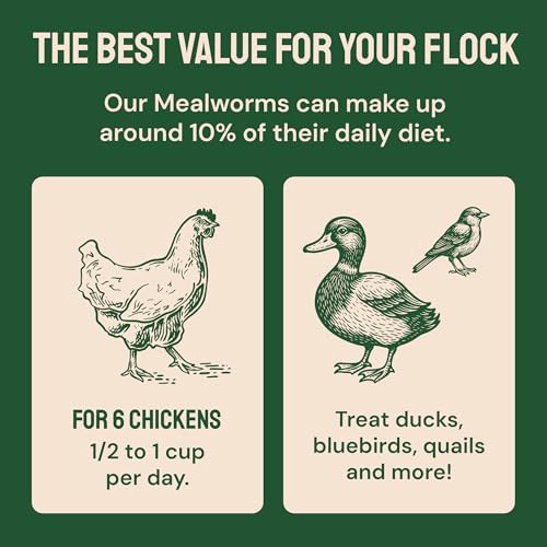 Hatortempt 20lb Dried Mealworms for Chickens & Wild Birds, Chicken Feed - size: 20 Pound (Pack of 1)