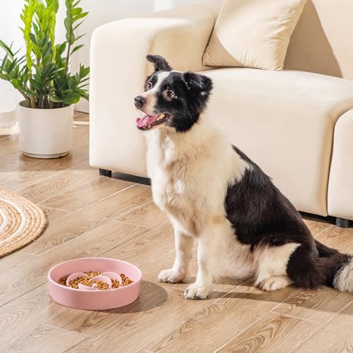 vancasso Ceramic Slow Feeder Dog Bowl, 3 Cups Puzzle Dish for Large Breeds - color: Pink, size: L - 3 Cups
