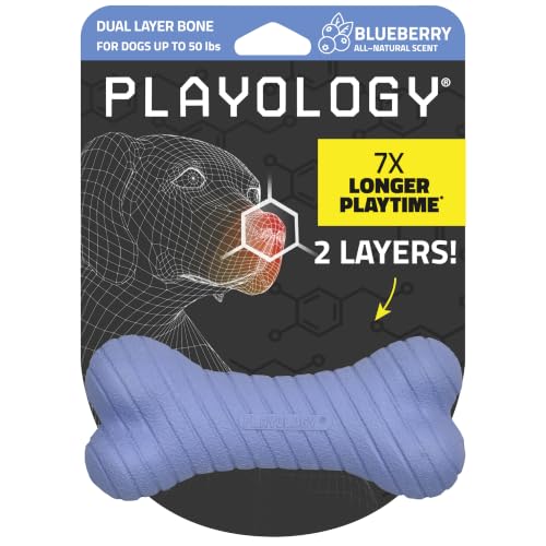 Playology Dual Layer Bone Dog Chew Toy - Medium, Blueberry Scent - size: Medium, style: Blueberry