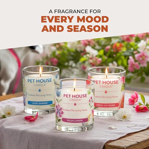 Vanilla Sandalwood Candle Pet Friendly Plant-Based Wax, Pet House - color: Vanilla Sandalwood, size: Pack of 1