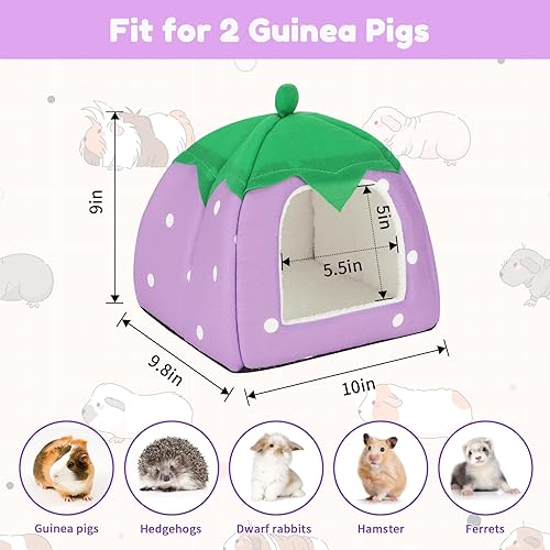 BWOGUE Guinea Pig Bed Hideout, Washable Hamster Cave for Small Animals - color: Strawberry Purple