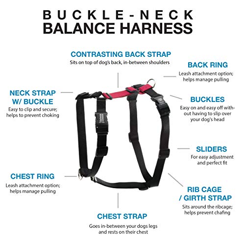 Blue-9 Balance Harness® and Leash Walking Set for Dogs, No-Pull, Red, L - color: Red, size: Large