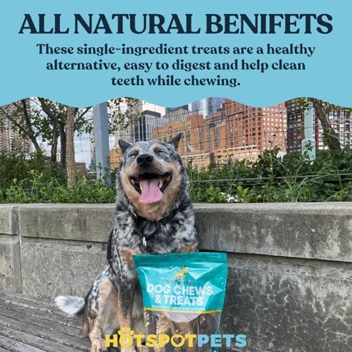 hotspot pets Small Premium Deer Antler for Dogs (3 Pack) - 4-7 Inch Long Lasting Antler Dog Chews Naturally Shed Deer Antlers Bone for Small & Medium Breed Aggressive Chewers - Sourced in USA - size: 3 Count (Pack of 1)