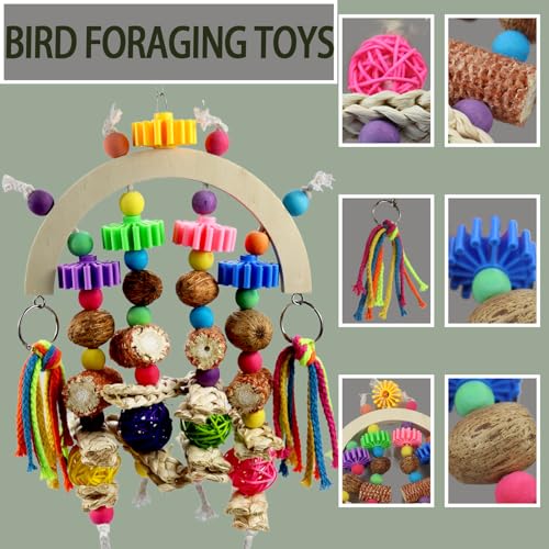 Corn cob and wooden mango combination natural wooden parrot chew toy
