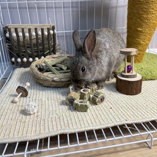 Rabbit Chew Toys for Teeth Guinea Pig Treats Papaya Toy for Bunny (3.5oz) - size: 3.5oz（A）