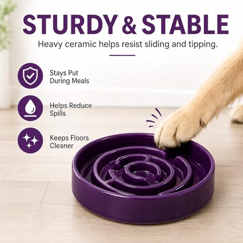 Ceramic Slow Feeder Dog Bowl,1.5 Cups Pet Slow Feeder for Small and Medium Breed,Puzzle Dog Food Dish,Anti-Gulping,Stop Bloat,Preventing Choking(Purple) - color: Purple