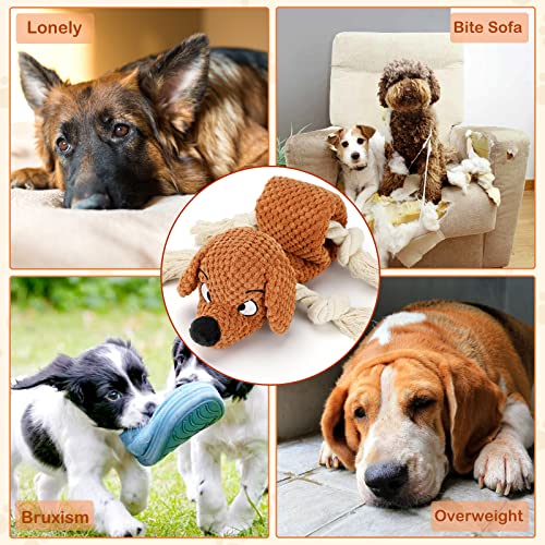 Letsmeet Dog Toys,Squeaky Dog Chew Toy with Crinkle Paper,Interactive Tough Plush Rope Toys for Small Medium Large Dogs with Gift Boxes - style: Dog