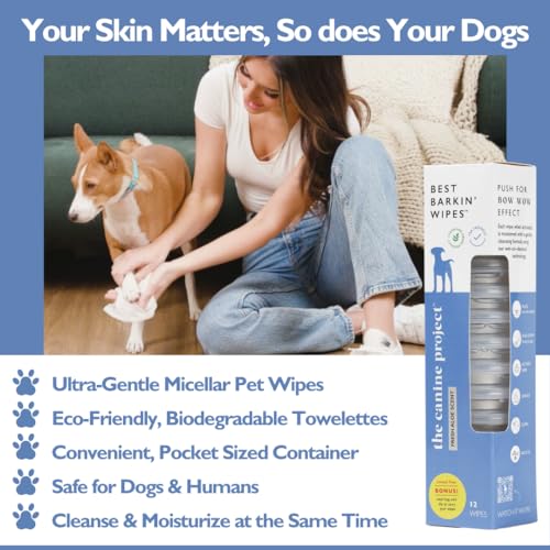 BARKIN' Wipes – On-The-Go Individual Micellar Water Dog Wipes - 12Pk - size: 12-Pack