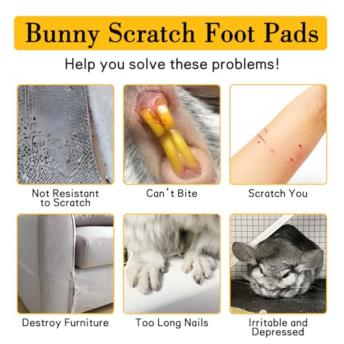 BNOSDM Chinchilla Scratch Foot Pads Natural Hamster Grinding Claw Mats 2Pcs - color: Black 2x Small