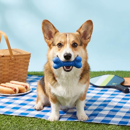 Playology Fun Fetch and Chew Dog Toy Box- Medium, Hot Dog/Watermelon Scents - size: Medium