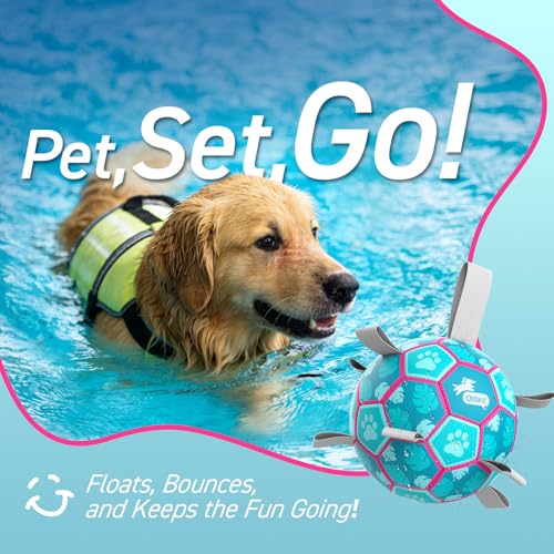 QDAN Dog Toys Soccer Ball with Straps, Pool Dog Water Toy, Outside Ball - color: Lake Blue, size: Medium Size 2 (6 Inch)