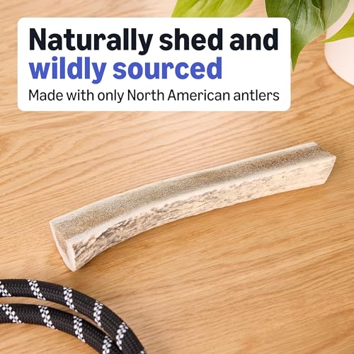 Amazon Basics Split Elk Antler, Naturally Shed, Long Lasting for Aggressive Chewers, Large (Best for Dogs 30-45 lbs) (Previously Wag) - size: Large (Dogs 30-45 lbs.) Pack of 1