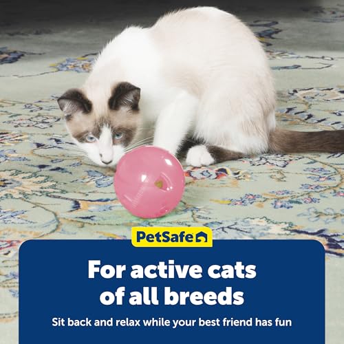 PetSafe Slimcat Feeder Ball Cat Toy, Pink - color: Pink, size: 1 Count (Pack of 1)