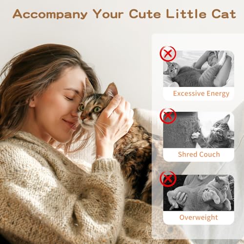 Pawaboo Cat Feather Wand Interactive Toy, 2 Feathers + 1 Wand with Bell - color: A-Brown