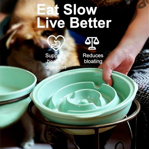 Elevated Dog Bowl Stand with 3 Large Ceramic Bowls – Raised Feeding Station for Medium & Large Dogs, Includes 2 Standard Bowls + 1 Slow Feeder, Durable Iron Frame, Non-Slip (Lucite Green) - color: Lucite Green