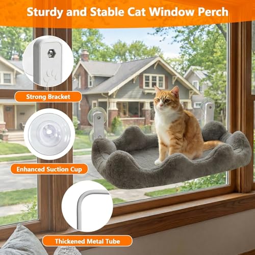 Homegroove Cat Window Perch, 24 x 12 Inch Foldable Cat Hammock for Window with 4-Sided Bolster & 4 Large Suction, Cloud Shape Cordless Window Bed for Indoor Cats (Gray, Large(24'' x 12'')) - color: Gray