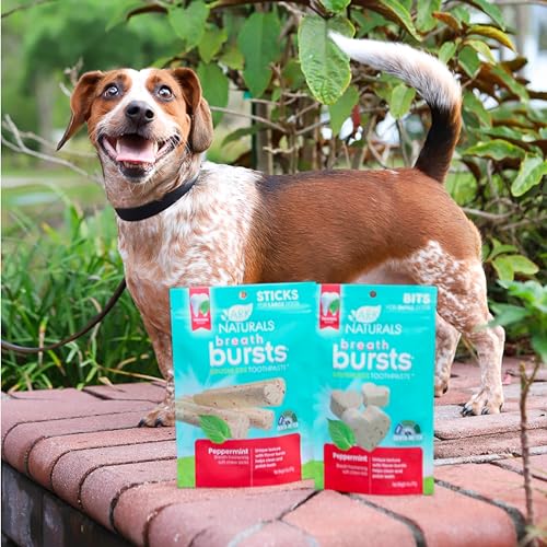 ARK NATURALS Breath Bursts Peppermint Dog Dental Treats, Large Breed (6 oz) - size: 6 Ounce (Pack of 1)