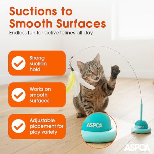 ASPCA Suction Cup Cat Toy Interactive Wand, Self Play Cat Toy for Indoor Cats, Attaches to Smooth Surfaces, Teaser Wand for Chasing, Batting & Enrichment, Blue - color: Blue