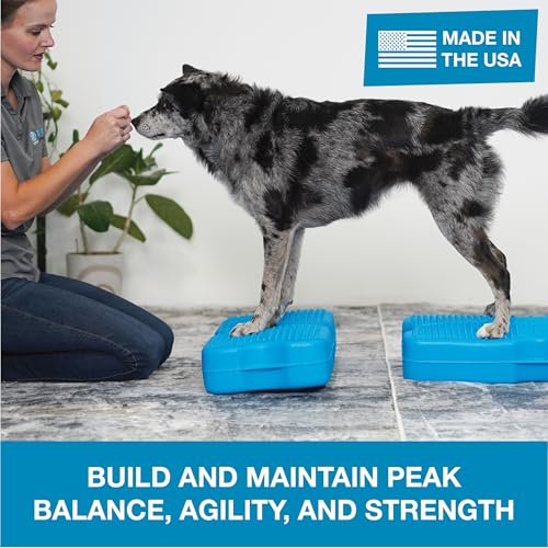 Blue-9 Propel Dog Training Platform, Balance, Stability, Turquoise, 2-Pack - color: Turquoise