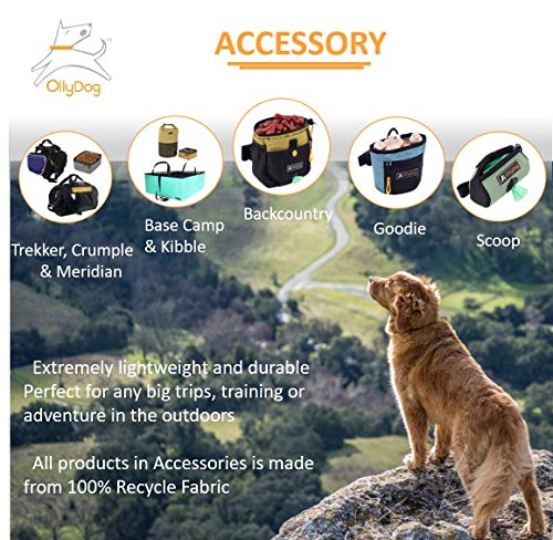 OllyDog Goodie Treat Bag, Waist Belt Clip for Hands-Free Training, Lightweight Easy to Wear Pouch, Magnetic Opening, Comfortable for Everyday Use, Three Ways to Wear, Aloha Blue, One Size - color: XAloha Blue