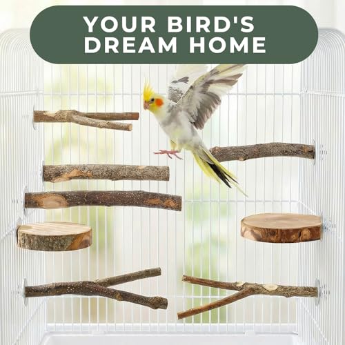 Natural Bird Toys and Wood Perches Set, Essential Parrot Cage Accessories with Hanging Swings, Stands and Shreddable Foraging Toys for Parakeets, Cockatiels, Budgies (20 Pack) - size: 20 Pack