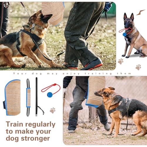 Leyndo 4 Pcs Dog Training Sleeve Set with Tug Pillow Stick Ball, Blue - color: as shown on the picture