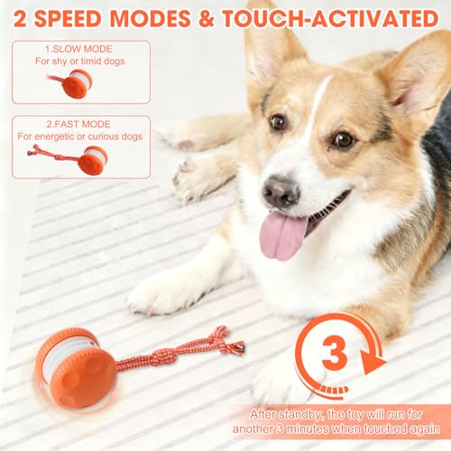 Interactive Dog Toy,Random Path Automatic Electric Rolling Toy with Rope,Motion-Activated Dog Stimulation Toy for Chewing and Playing,Boredom Relief,for Small Medium Large Dogs (Blue) - color: Blue