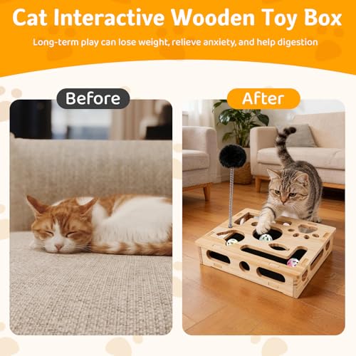 Cat Scratch Puzzle Enrichment Box with 3 Balls & 2 Feather Wands