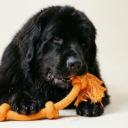 Playology Tug Rope Dog Toys for Large Breed Dogs - Mega Size, Cheddar Scent - size: Mega, style: Cheddar Cheese
