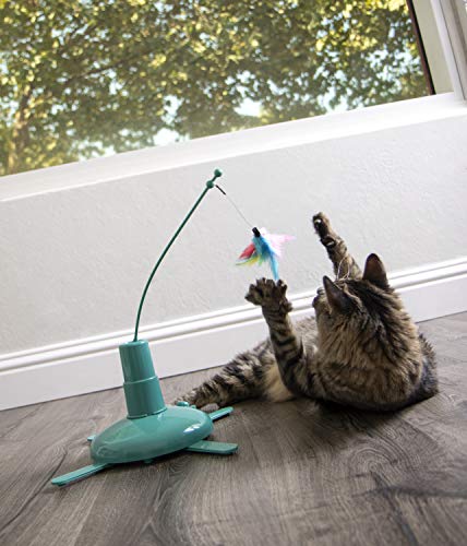 SmartyKat Electronic Motion/Moving Toys for Cats & Kittens, Battery Powered, Mimics Motion of Real Prey, Fun & Interactive Play - Multiple Styles - style: Loco Motion