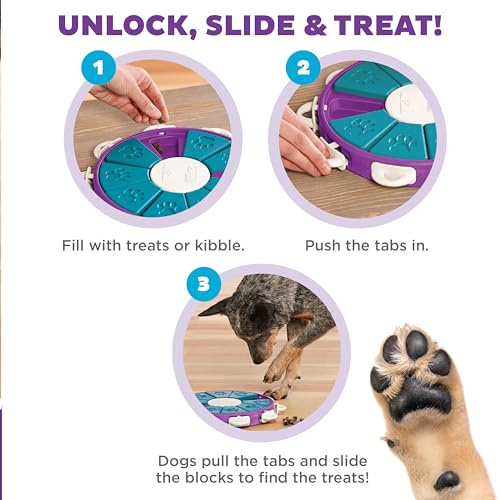 Outward Hound Nina Ottosson Dog Twister Dog Toy Treat Puzzle, 11.8" - color: Dog Twister (Purple, Blue), size: 1 Count (Pack of 1)