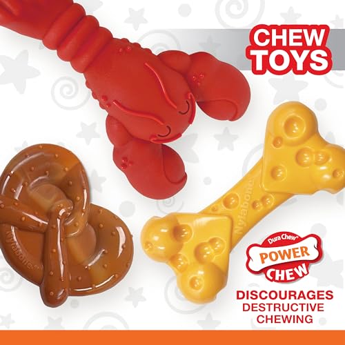 Nylabone Power Chew Toy Bundle, Dog Toys for Aggressive Chewers, 3 Pack - color: Broccoli 3 Pack, size: Small